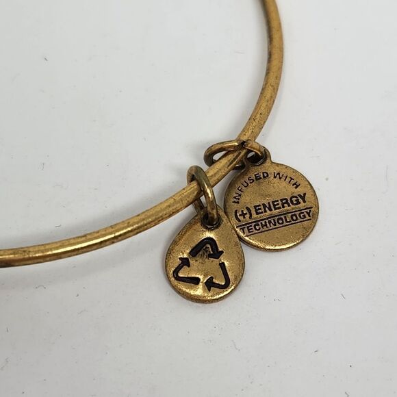 ALEX and ANI Fleur de Lis Gold Tone Bangle Bracelet - Picture 6 of 7